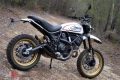 Todas las piezas originales y de repuesto para su Ducati Scrambler Desert Sled Thailand 803 2018.